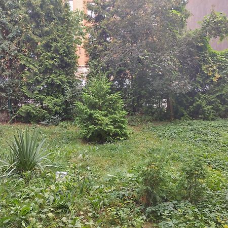 Apartament Przedzamcze Stary Toruń Dış mekan fotoğraf