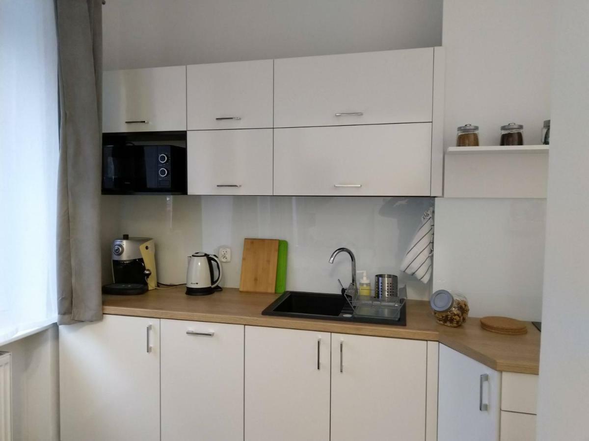 Apartament Przedzamcze Stary Toruń Dış mekan fotoğraf